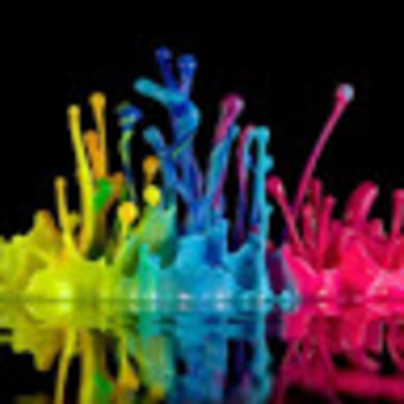 Meet your Posher, Cheyenne - Picture 1 of 1